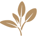 Sage